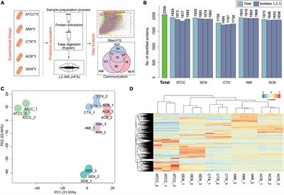 Comparative Proteomics Demonstrates Altered Metabolism Pathways in Cotrimoxazole- Resistant and Amikacin-Resistant Klebsiella pneumoniae Isolates